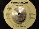 RARE FUNK SOUL 45 - THE YOUNG SENATORS - JUNGLE /THAT'S THE WAY IT IS  HEAR