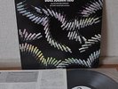 Duke Jordan Trio So Nice Duke Japan LP Trio PAP-25028 Three 3 Blind Mice Insert
