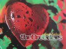 The Breeders Last Splash LP 1993 Original insert 4AD 427913 no barcode Brazil