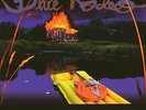 BLUE RODEO**FIVE DAYS IN JULY (GATEFOLD)**2 VINYL SET