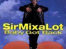 Sir Mix-A-Lot Baby Got Back Vinyl Single 7inch NEAR MINT American