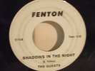 THE QUESTS shadows in the night FENTON 2174 rare killer GARAGE 60s PUNK michigan