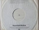 PAUL McCARTNEY UK 1977 rare WHITE LABEL  TEST PRESSING  Vinyl LP Thrillington