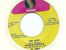 DIANE & CAROLE - The Fuzz / Feelin' The Pain / Latin / Soul / 1968