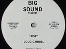 Doug Gabriel - Rise/Groovin 12