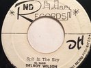 DELROY WILSON / SKATALITES - spit in the sky b/w black sunday - ND 45 VG++//
