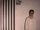 NOEL GALLAGHER'S HIGH FLYING BIRDS - Chasing Yesterday - Vinyl (LP)