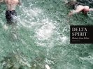Delta Spirit - History from Below