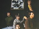 LP The Electric Prunes I Had Too Much To Dream Last Night Reprise Records