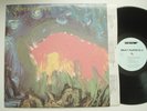 MEAT PUPPETS II Original NM- SST 019 LP w/inner sleeve KBD