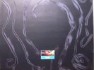 LUSH:GALA LP SPECIAL SLEEVE SHOEGAZE TWEE