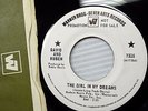 DAVID & RUBEN the Girl in My Dreams It Hurts Me NORTHERN SOUL w.l.promo 45 E3106