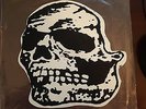 Jerome's Dream/Orchid split skull-shaped 10