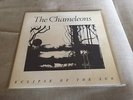The Chameleons 