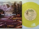 THE BEACH BOYS Cabin Essence NEAR MINT MOJO 45 with Picture Sleeve Yellow Vinyl