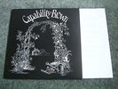 CAPABILITY BROWN - FROM SCRATCH 
