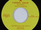 Crossover Soul/Sweet Soul 45 SOUL WALKERS Never Say You Don't... VG++/VG+ HEAR