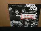 ANGEL FACE - A WILD ODYSSEY NEW NEVER PLAYED 1986 GARAGE ROCK STOOGES IGGY POP
