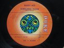 BUDDY ACE Screaming Please / What Can I do HEAR RARE NORTHERN SOUL 45 ON DUKE