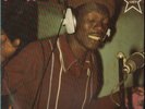 REGGAE DUB SKA LP - ANTHONY JOHNSON 