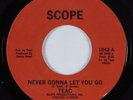 Sweet Soul 45 TEAC Never Gonna Let You Go SCOPE HEAR