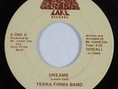 Sweet Soul 45 TERRA FIRMA BAND Dreams LAKE HEAR