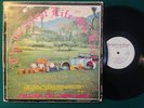 THE GREAT LIFE AMBASSADORS 2LP PRIVATE XIAN PSYCH SOUL TRINIDAD Rare HEAR