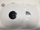 The Dwarves 2 LP Lacquers Test Press Vinyl of Younger Better - Rare