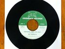 The Firebolts, Everybody Party / Hum Along Song 7