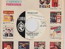 Northern Soul 45 DEE DEE SHARP Standing In The Need Of Love CAMEO Promo - HEAR