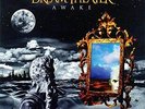 Dream Theater: Awake (2-LPs)