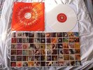 PEARL  JAM CO  CODE  RARE WHITE VINYL  NINE PHOTO PRINTS 10
