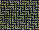Merriweather Post Pavilion [VINYL] Animal Collective Vinyl