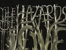 THE DECEMBERISTS THE HAZARDS OF LOVE LP VINYL NEW 33RPM