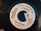 INTERNATIONAL SUBMARINE BAND Sum Up Broke 1966 GRAM PARSON GARAGE PUNK 45 LISTEN