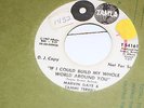 MARVIN GAYE & TAMMI TERRELL Promo 45 If I Could Build My Whole World Around You