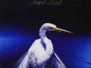 Faith No More-Angel Dust Vinyl / 12
