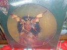 CHER Take Me Home PICTURE DISC LP Vinyl Album Casablanca 1979 RARE Pop Disco