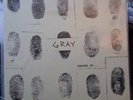 Gray Shades Of Vinyl LP Jean Michel Basquiat Band Numbered vincent gallo vinyl