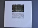 JOY DIVISION : COLLECTABLE 12