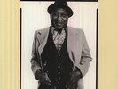 Hard Again - Muddy Waters (2012, Vinyl NEW)