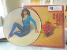 KATE BUSH Kick Inside Picture Disc displaying 'factory sample' sticker