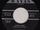 THE CHESTNUTS: Love is True ORIG 45 Doo Wop DAVIS 447-45 Hear