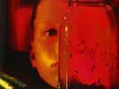 Alice In Chains - Jar Of Flies/Sap (Vinyl LP / Album) (New)