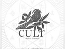 Bayside : Cult VINYL White Edition  12