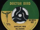 CANTELOPE ROCK / THE LECTURE  