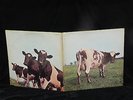 PINK FLOYD ATOM HEART MOTHER HARVEST RECORDS GATEFOLD COVER FIRST PRESSING
