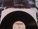 CAPERCAILLIE - CASCADE LP N. MINT UK 1ST PRESS ETIVE SRT 4KL 178