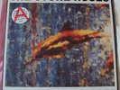 Stone Roses Fools Gold  / What The World Is Waiting For 12