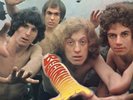 AMBROSE SLADE  Beginnings  LP  /  REISSUE